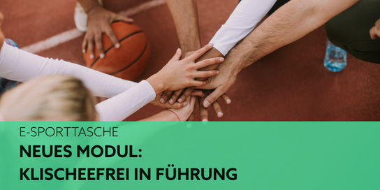 Symbolbild: Händekreis und eine Person hat eine Hand auf einem Basketball liegen.