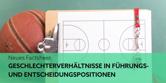 Ein dekoratives Bild eines Basketballs mit Titel des Factsheets.